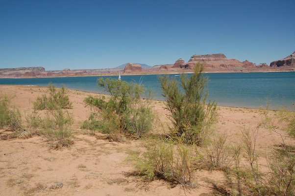 Narrows (8)