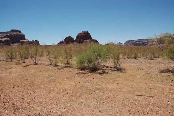 Neanderthal Cove (8)