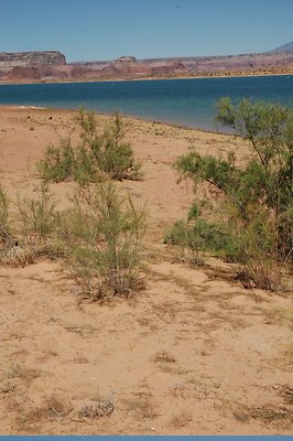 Narrows (23)