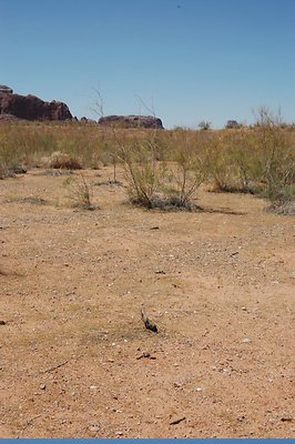 Neanderthal Cove (27)