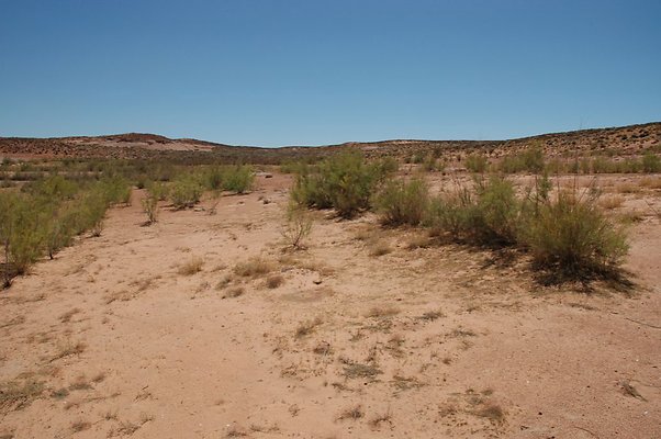 Narrows (12)