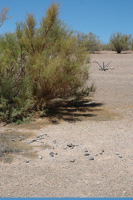 near Labyrinth (5)