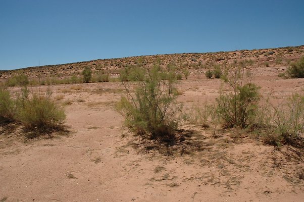 Narrows (13)
