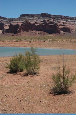 Neanderthal Cove (45)