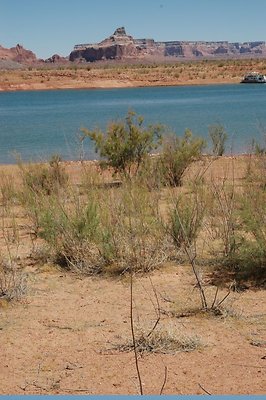lower Gunsight (19)