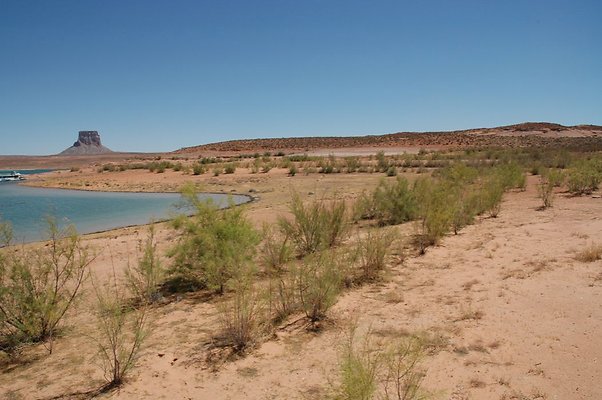 Narrows (11)