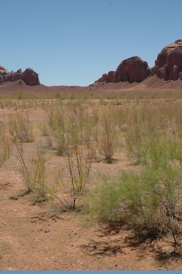 Neanderthal Cove (47)