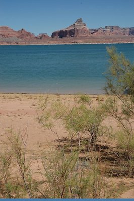 Narrows (26)