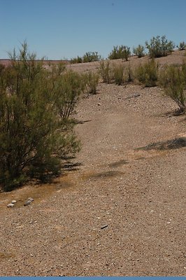 near Labyrinth (25)