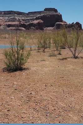 Neanderthal Cove (22)