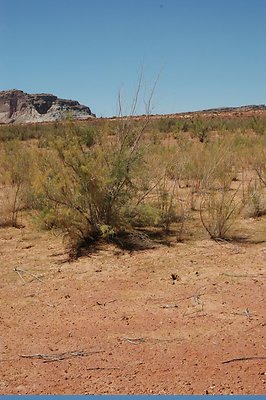 lower Gunsight (7)