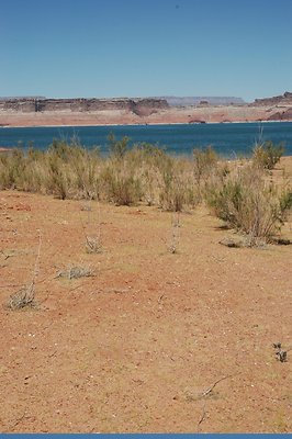 lower Gunsight (13)