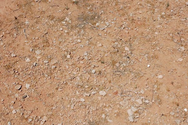 Neanderthal Cove (32)
