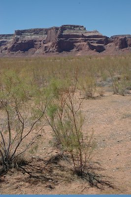 Neanderthal Cove (50)