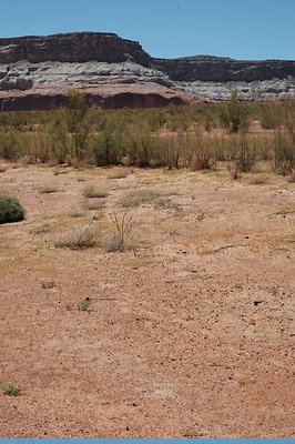 lower Gunsight (29)