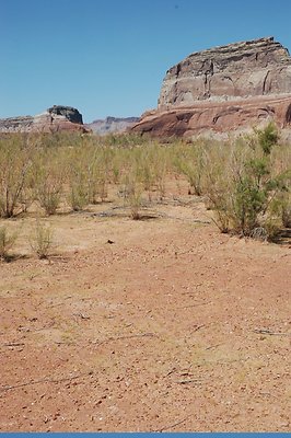 lower Gunsight (9)