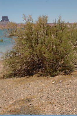 near Labyrinth (24)