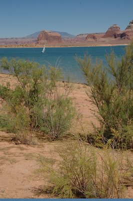 Narrows (24)