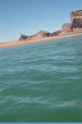 Neanderthal Cove (59)