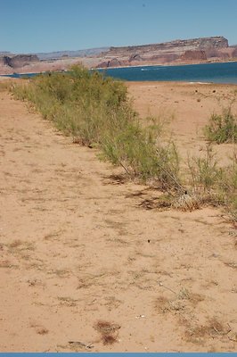 Narrows (22)