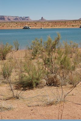 lower Gunsight (20)