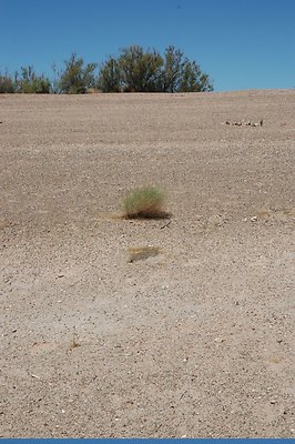 near Labyrinth (7)