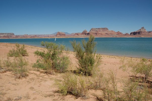 Narrows (9)