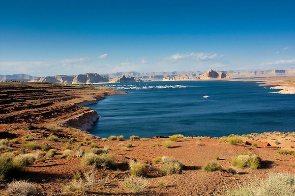 LAKE POWELL SELECTS