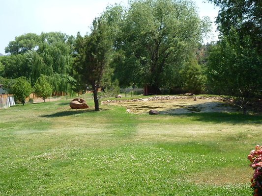 20 pond