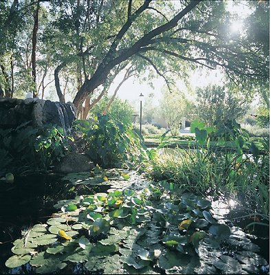 CR casita park