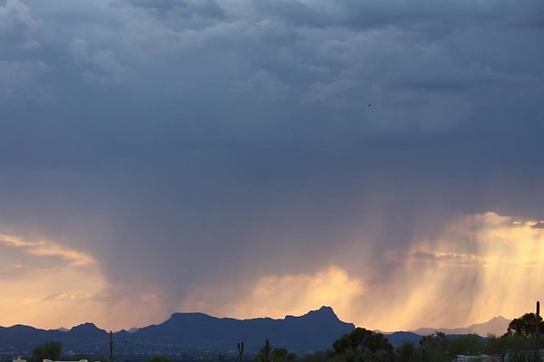 IMG 0981