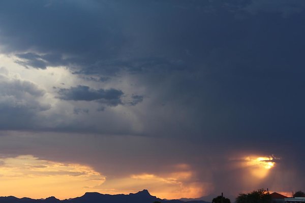 IMG 0988