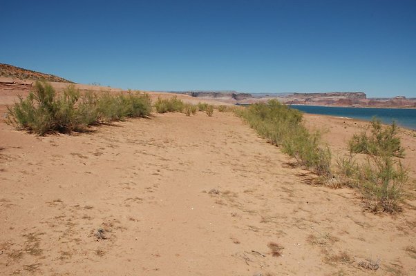 Narrows (7)