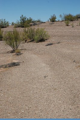 near Labyrinth (26)