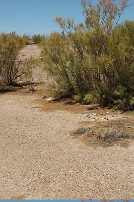 near Labyrinth (28)