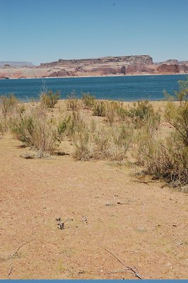 lower Gunsight (14)