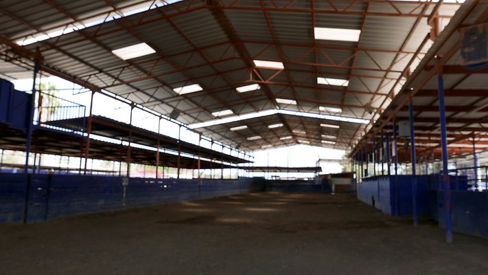 13P1080736