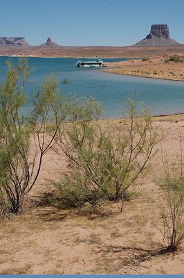 Narrows (28)