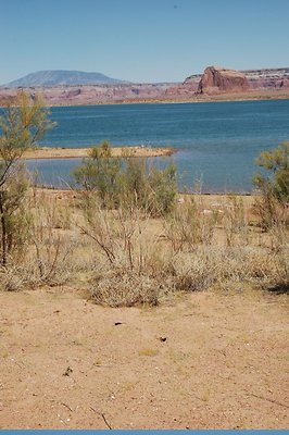 lower Gunsight (16)